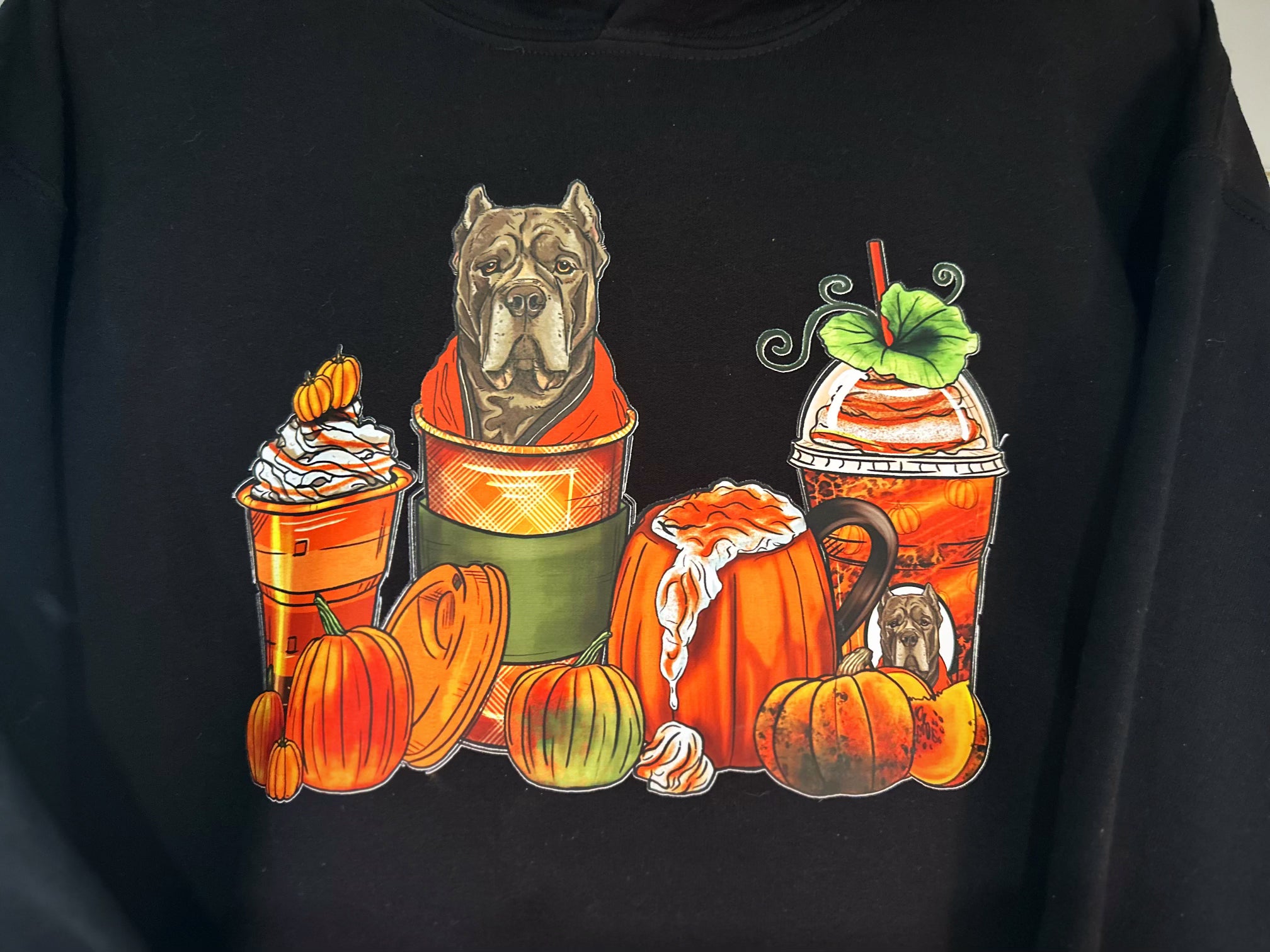 Fall Festivities Corso Hoodie