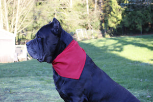 Red Dog Bandanas