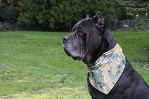 Army Camo Dog Bandana