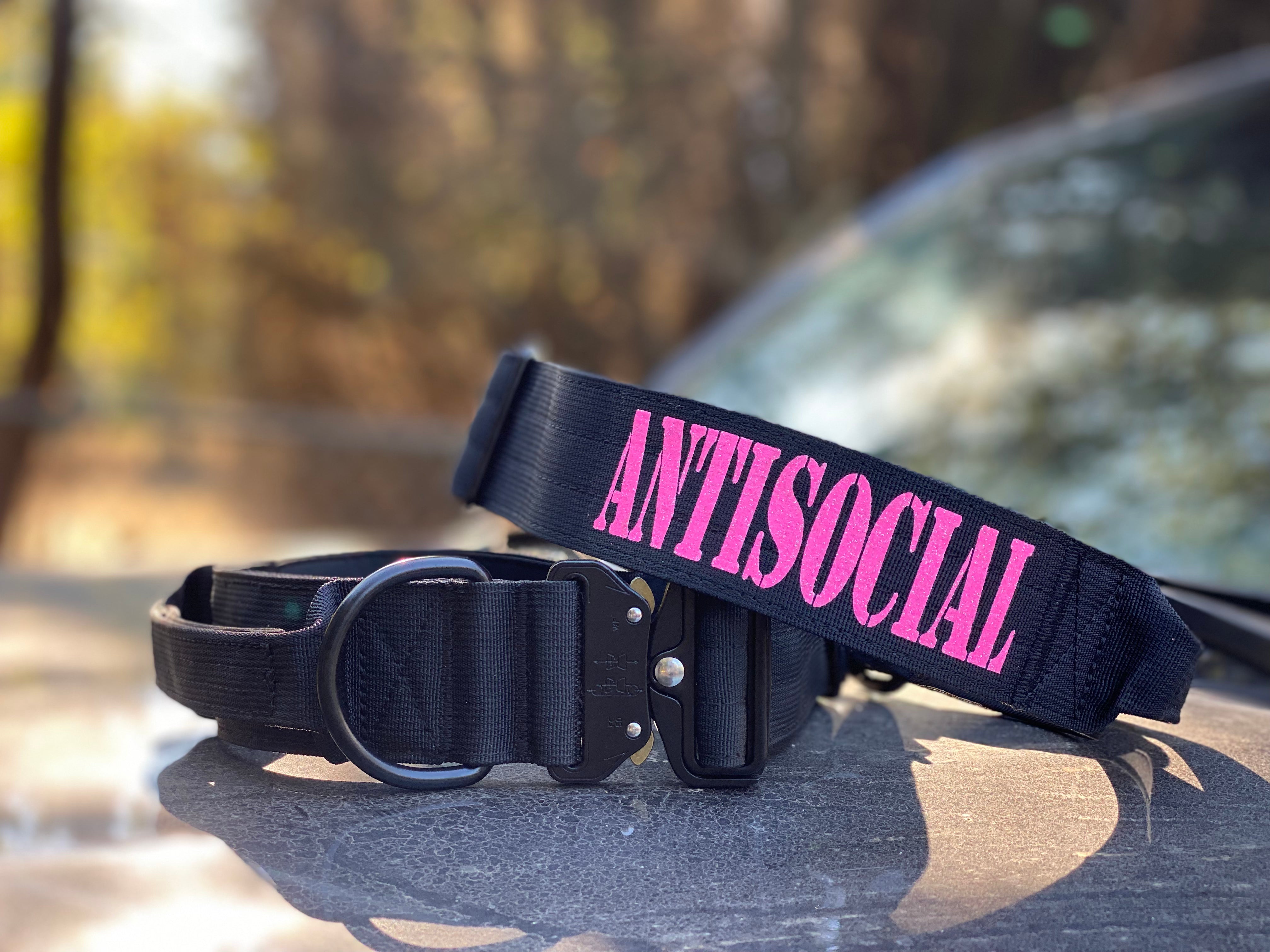 Antisocial Collar