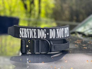 Service Dog