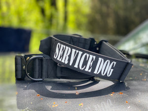 Service Dog