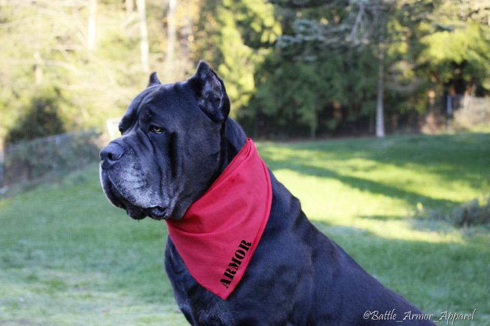 Custom Dog Bandanas