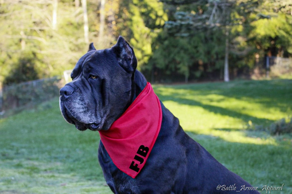 FJB Dog Bandana